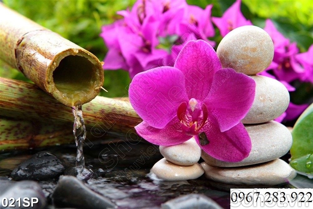 Gạch ốp tường 3D hoa lan