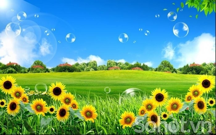 Tranh 3d - tranh gạch 3d - gạch tranh 3d - BNM987