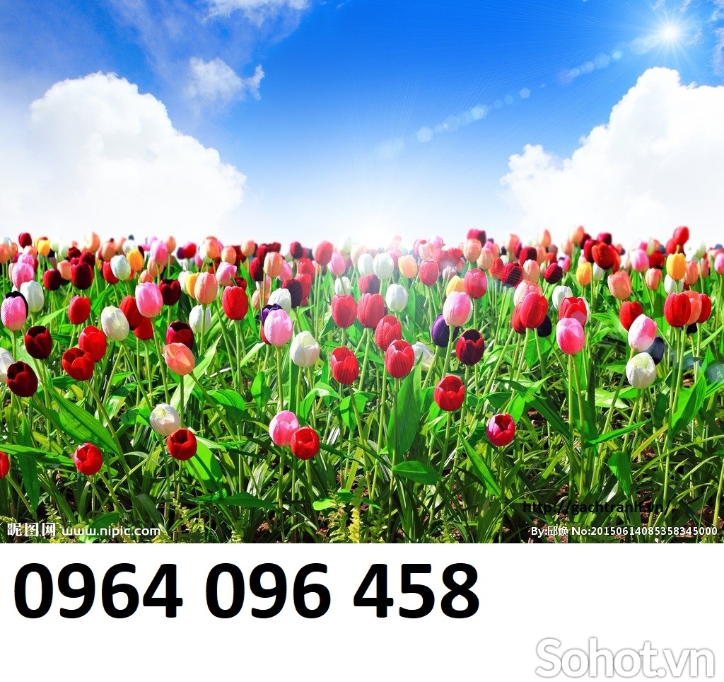 Tranh gạch vườn hoa 3d  - FCV43