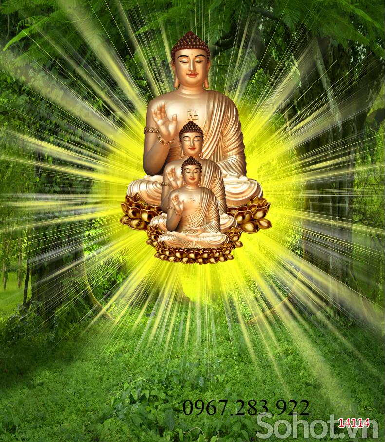 Tranh 3D- Tranh gạch Phật Giáo