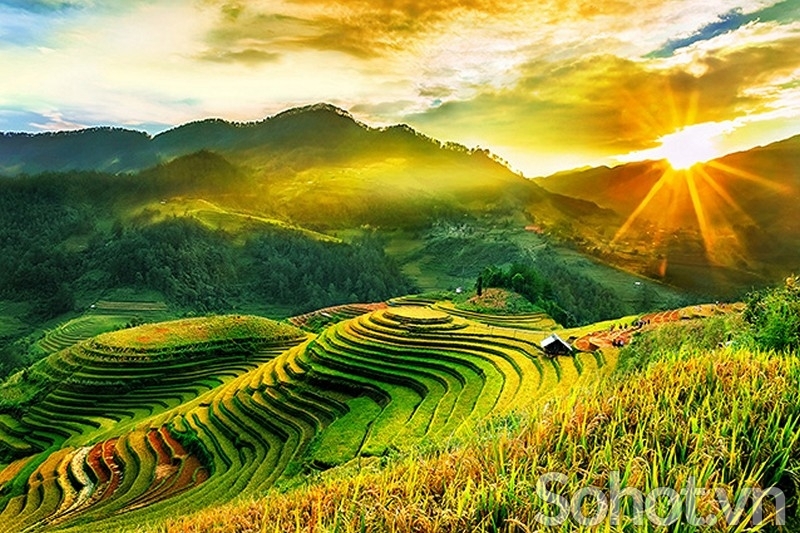 Tranh gạch 3d ruộng bậc thang - NBBN76