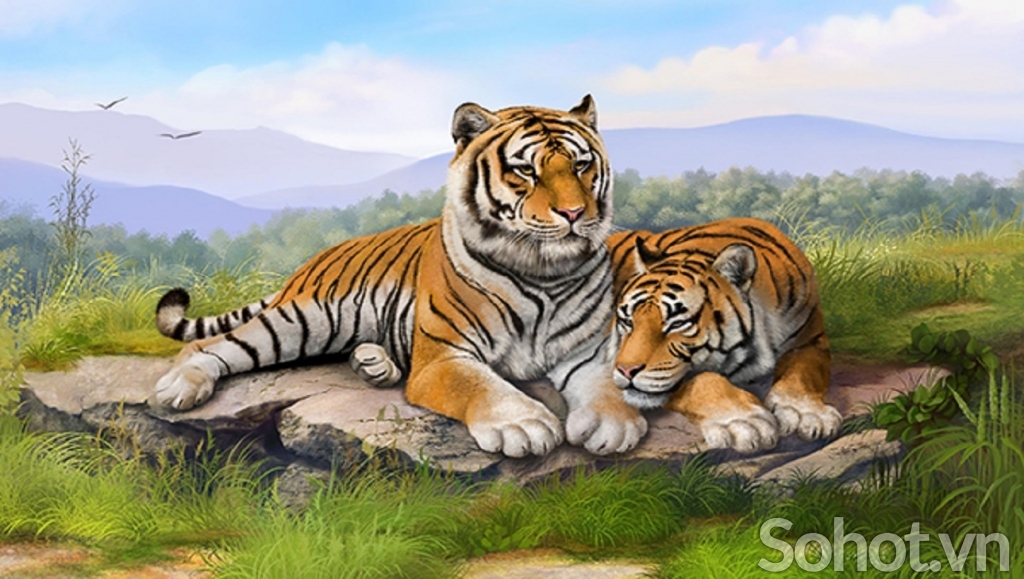 Tranh hổ - tranh gạch 3d con hổ - 871AP