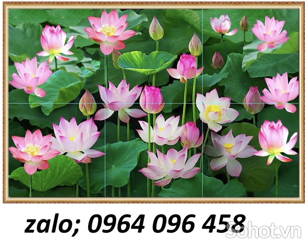 Tranh hoa sen 3d - tranh gạch 3d hoa sen - 94XC