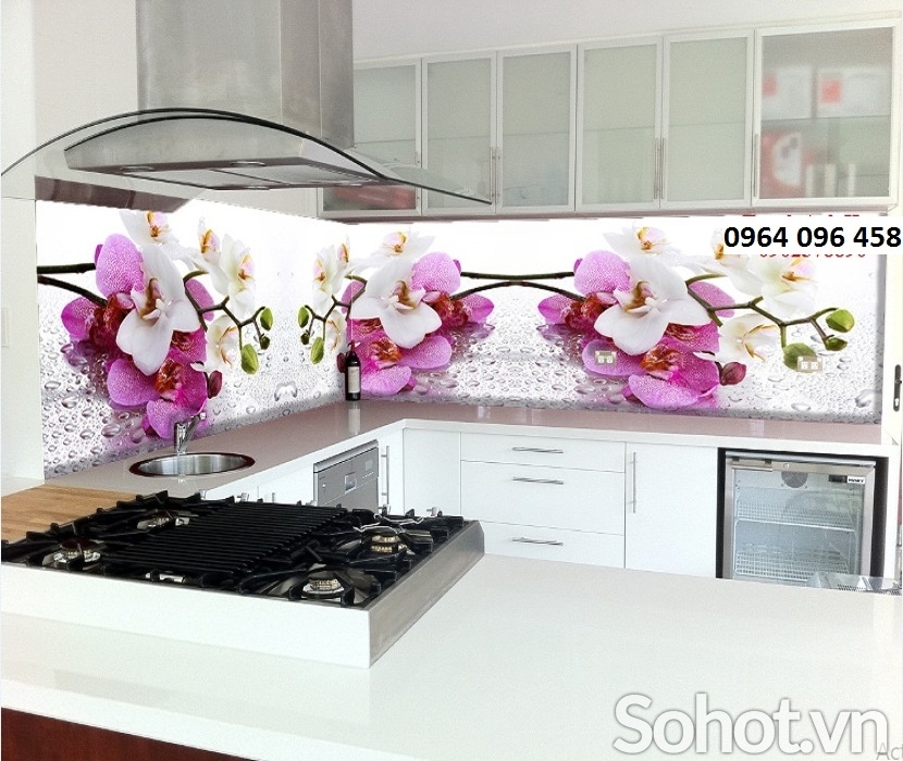 Tranh gạch 3d ốp bếp - DSXN84