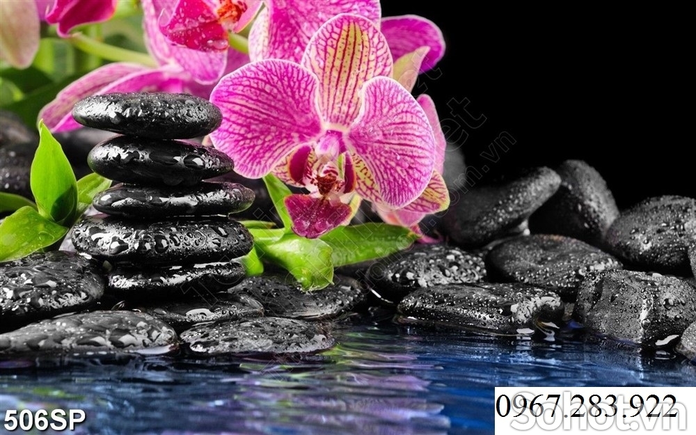 Gạch trang trí hoa lan