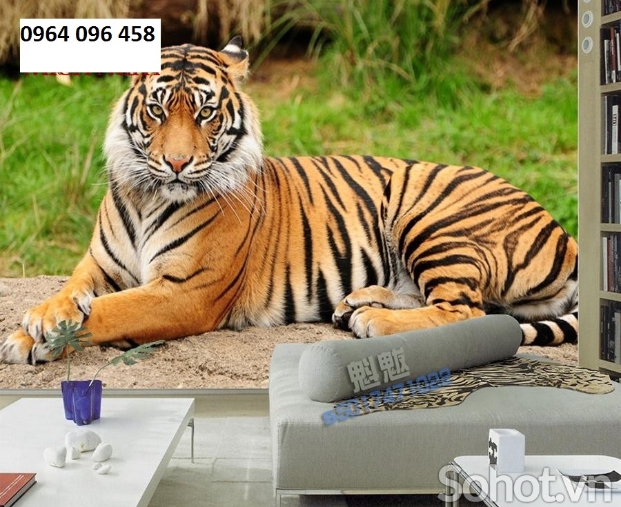Tranh con hổ 3d - tranh gạch 3d con hổ - DXX22