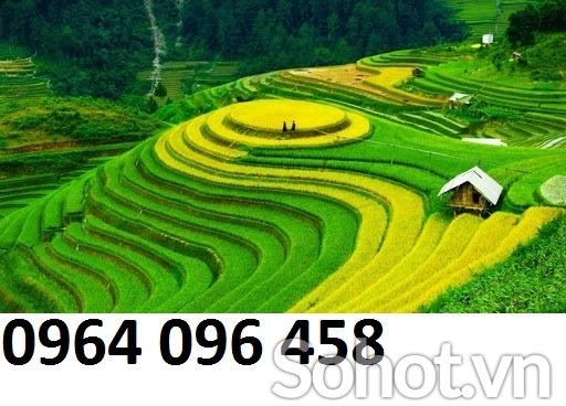 Tranh gạch 3d ruộng bậc thang - NBBN76
