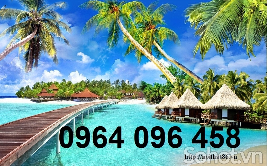 gạch 3d cảnh bờ biển cây dựa - DNN76