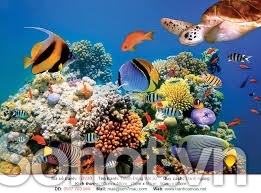 Tranh gạch 3d cá heo đại dương - 043XC