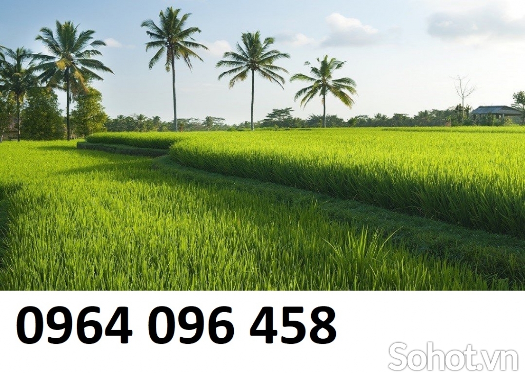 Tranh phong cảnh thiên nhiên tranh gạch 3d ốp tường - KGC4