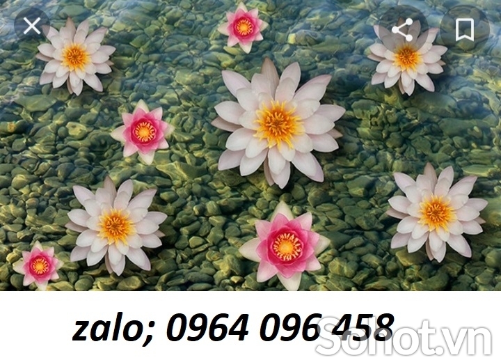 Gạch thảm 3d lát sàn phòng khách - KMV55