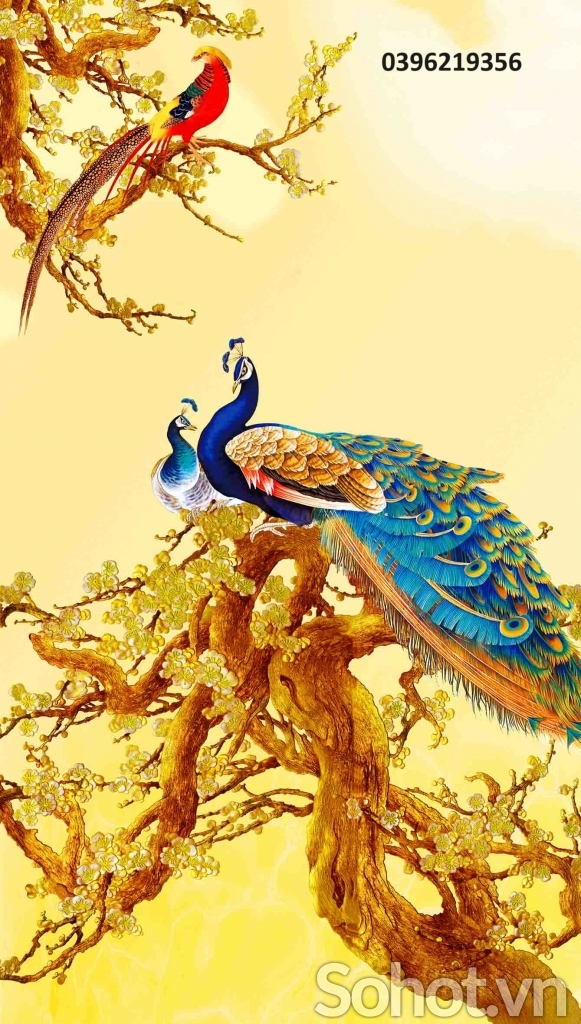 Tranh chim công đẹp trang