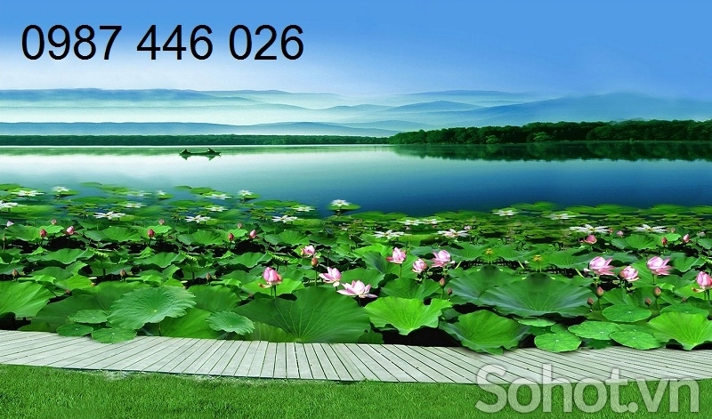 Gạch tranh cảnh hồ sen HP8722