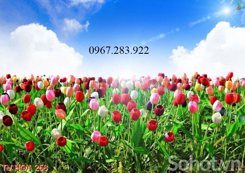 Tranh hoa nghệ thuật gạch men trang trí