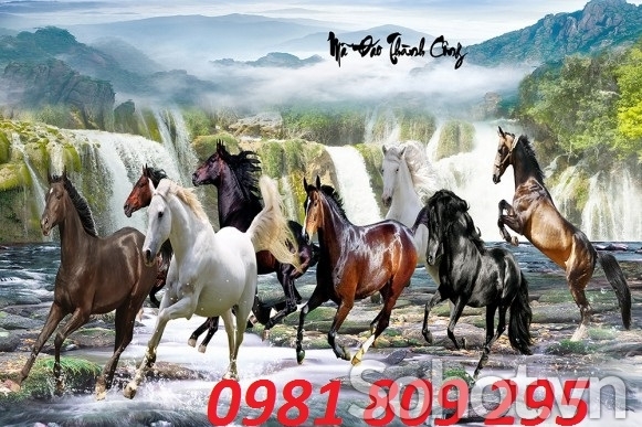 tranh gạch 3d dán tường mã đáo thành công