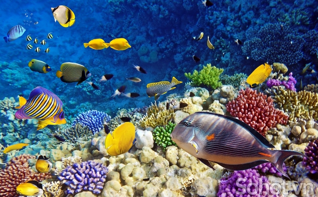 Tranh gạch 3d phòng tắm - HBBN7