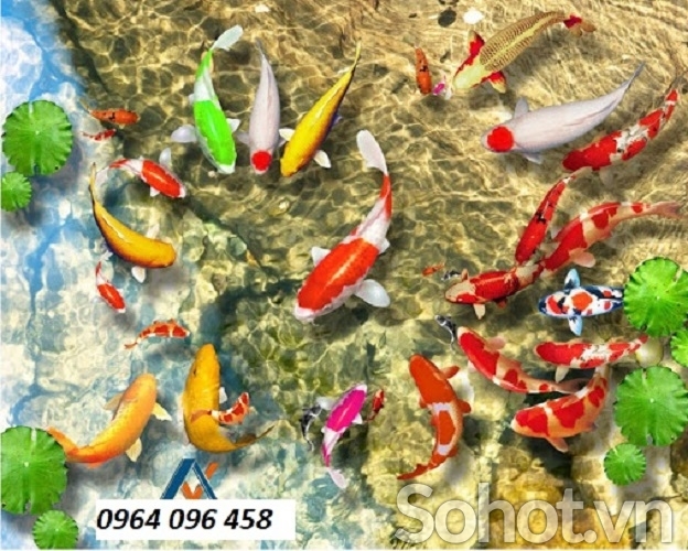 Tranh gạch 3d phong thủy cá koi - BV655