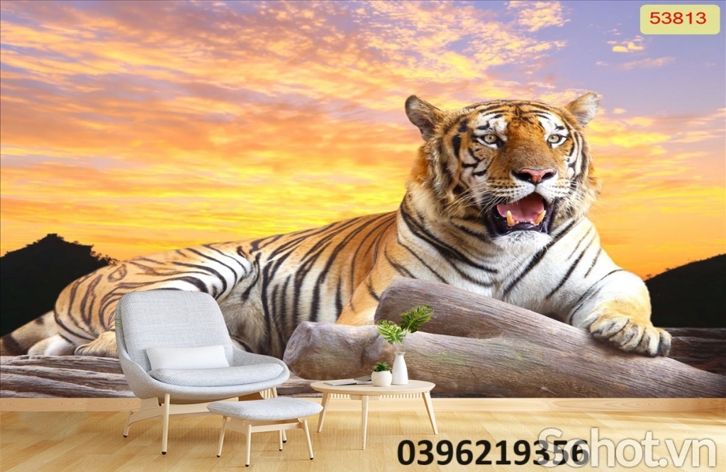 Tranh hổ đẹp 3D