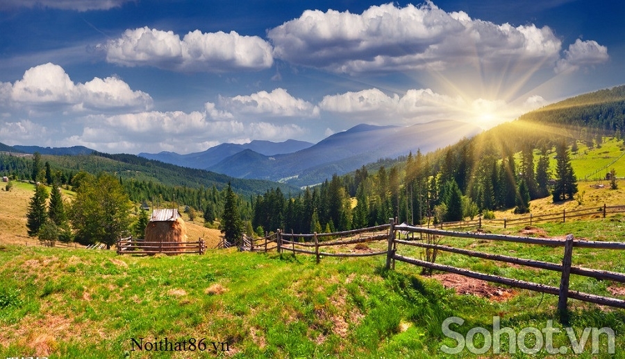 Tranh 3d - tranh gạch 3d - gạch tranh 3d - XBV94