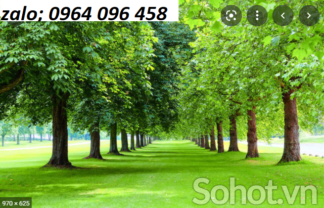 tranh gạch 3d phong thủy mệnh hỏa - FSAZ7444