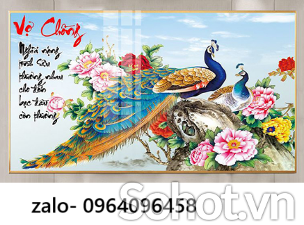 Tranh gạch 3d ốp tường tranh chim công - VBB76
