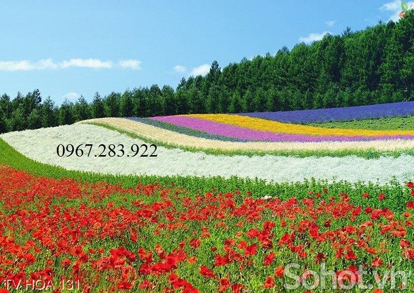 Tranh gạch- Tranh phong cảnh vườn hoa