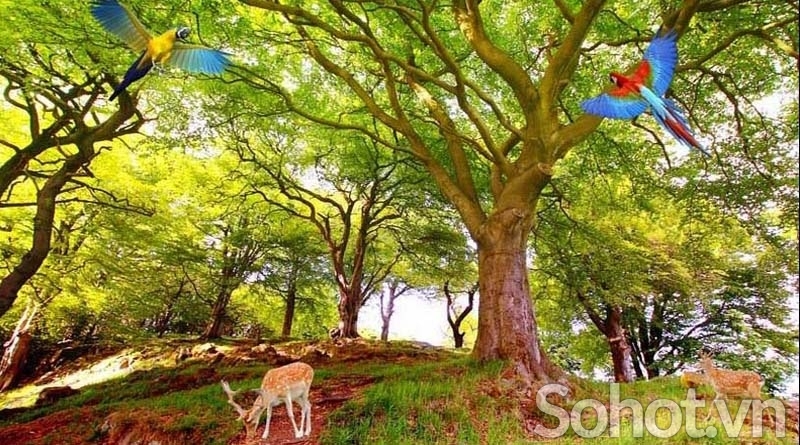 Tranh rừng cây - tranh gạch 3d rừng cây - CXX3