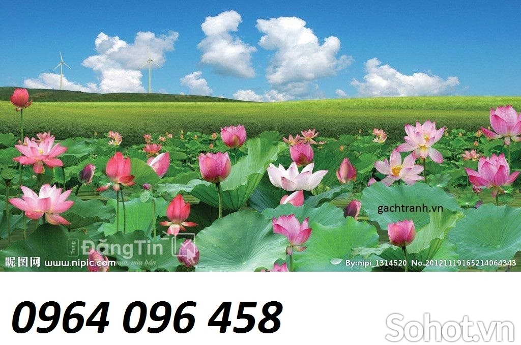 Tranh gạch 3d ốp tường tranh hoa sen - MM900
