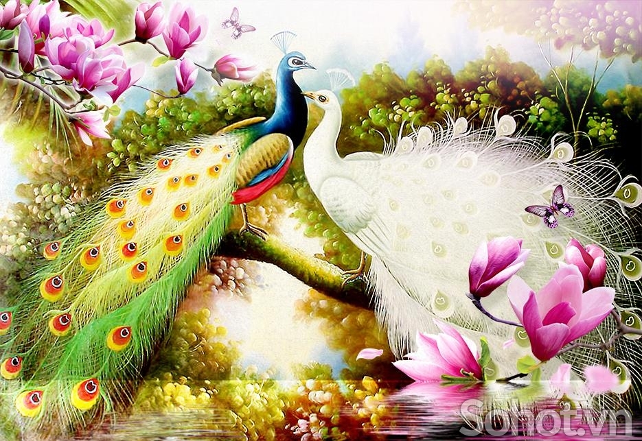 Tranh 3D- Tranh chim công