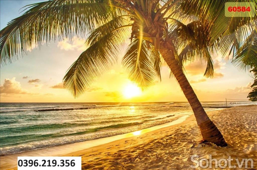Tranh gạch biển đẹp 3D