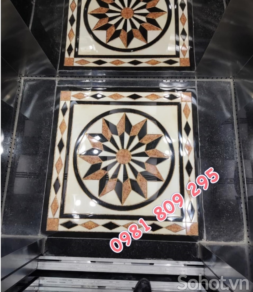 Chiếu nghỉ , thảm gạch lát capin ,cầu thang