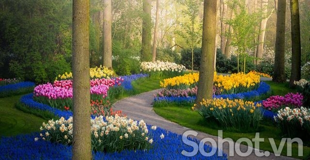 Tranh 3D- Tranh gạch vườn hoa