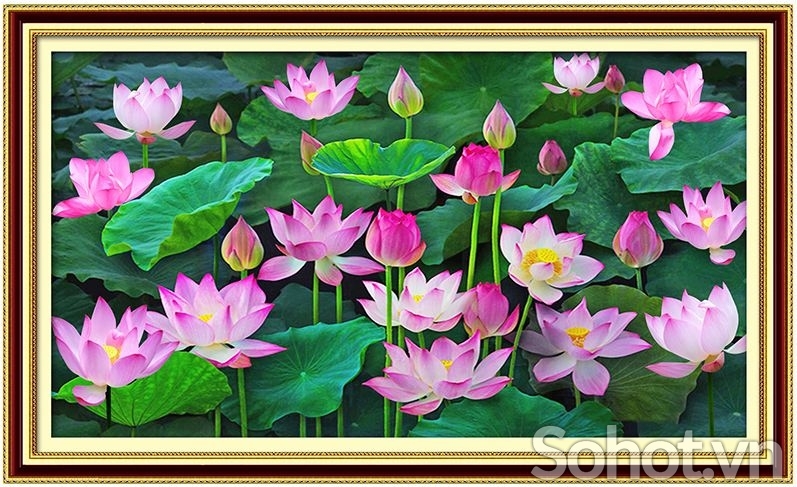 tranh gạch ốp tường 3d mẫu hoa sen - SMV33