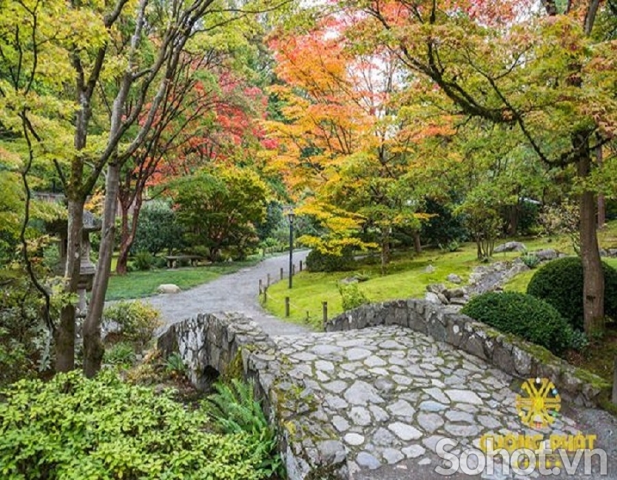 Gạch tranh 3d cây cổ thụ - XCB09