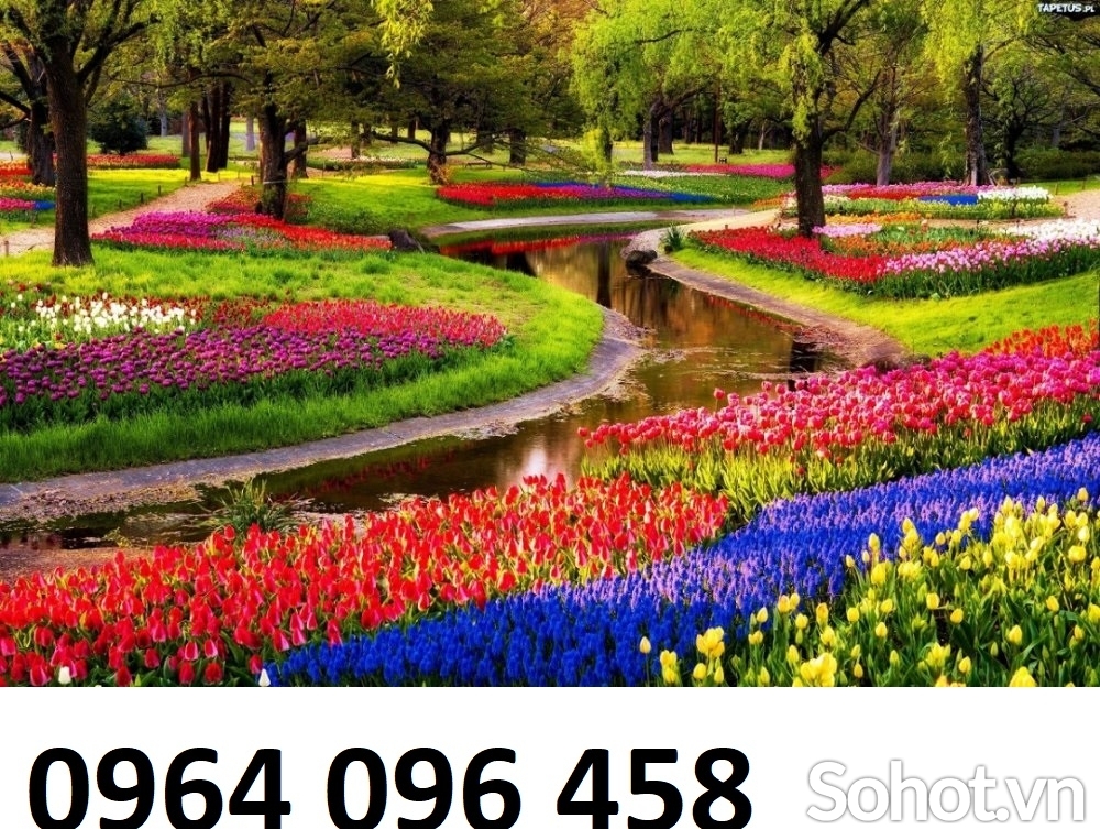 Tranh gạch 3d cao cấp - XMM93