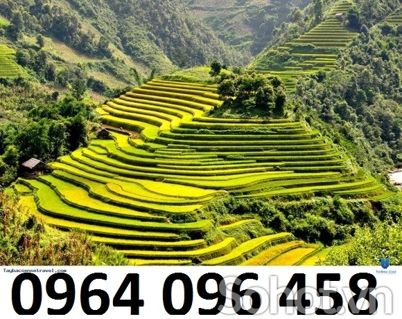 Tranh gạch 3d ruộng bậc thang - 222XM