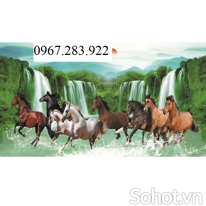 Gạch trang trí mã đáo thành công