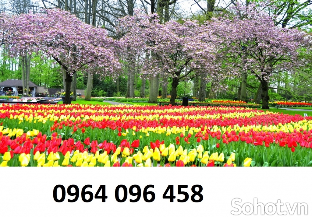 Tranh gạch 3d hoa cỏ thiên nhiên - 989BN