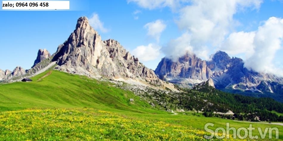 Tranh gạch 3d phong thủy mệnh mộc - DCNN84