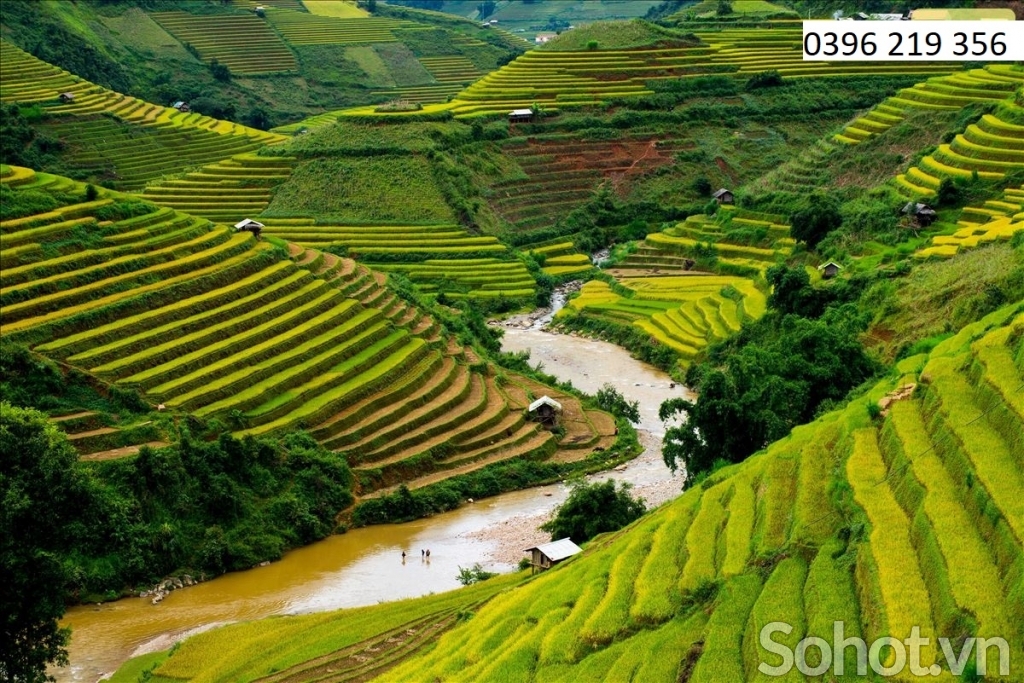 Tranh gạch ruộng bậc thang phong thủy