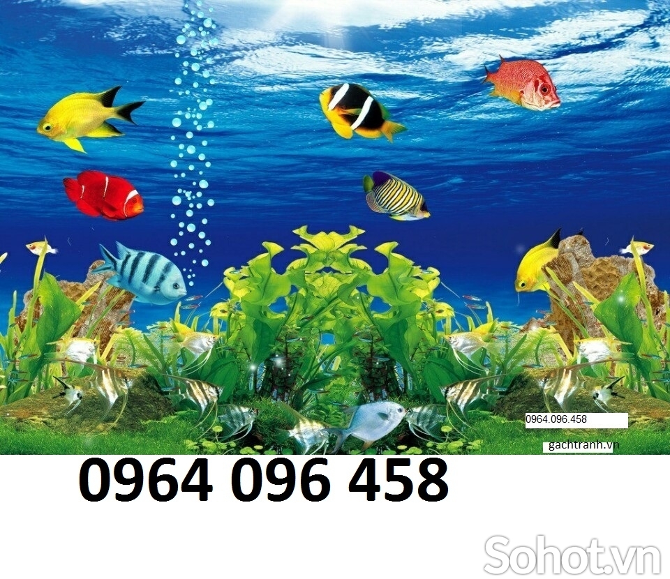 Tranh gạch 3d ốp tường phòng tắm - XV541