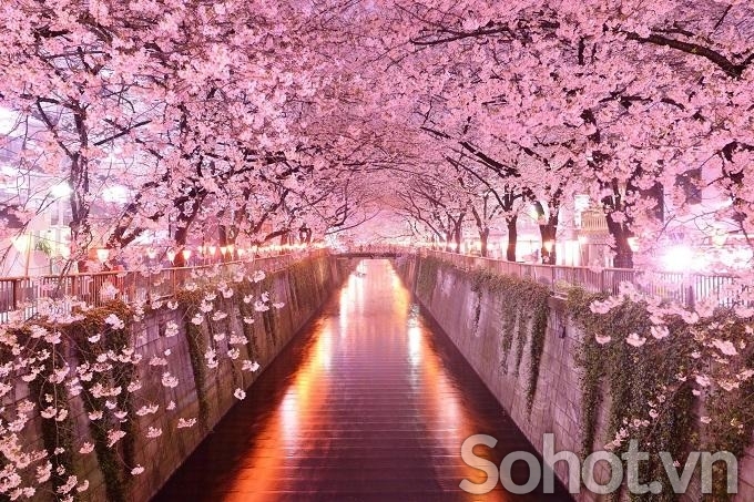 Tranh trang trí phòng khách- gạch tranh vườn hoa