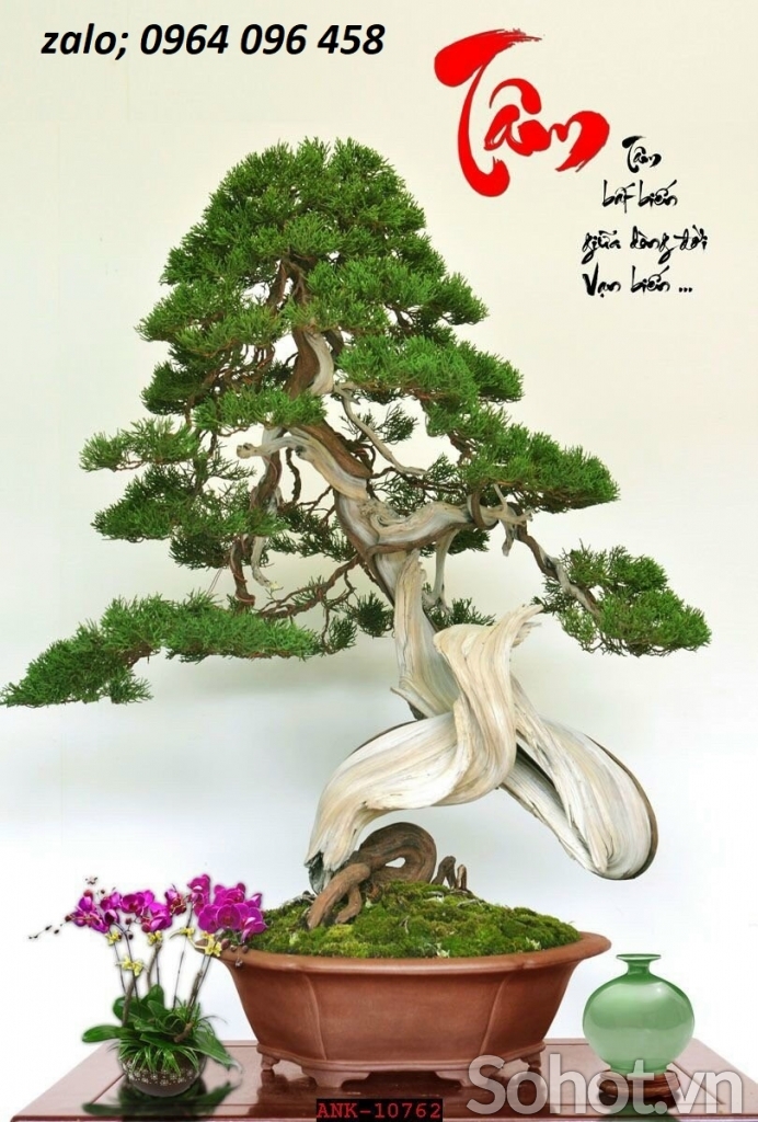 Tranh gạch 3d cây cảnh - FSCC3