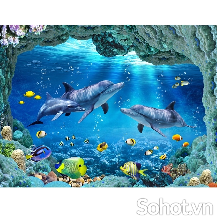 Top với hơn 60 về hình nền đại dương 3d  cdgdbentreeduvn