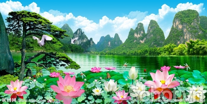 tranh gạch 3d bóng kính - TRD3