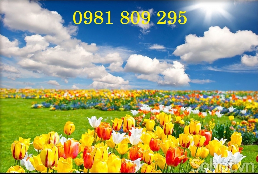 Tranh gạch ốp tường trang trí cho phòng khách