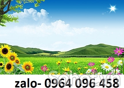 Tranh 3d - tranh gạch 3d - gạch tranh 3d - XBV94