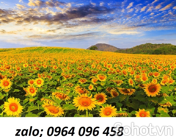 Tranh gạch 3d vườn hoa - KHC32