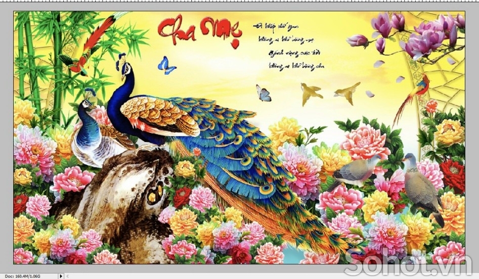 Tranh gạch 3D hình chim công đẹp