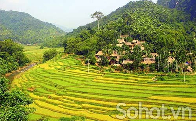 tranh 3d - tranh gạch 3d mệnh kim - AVV5